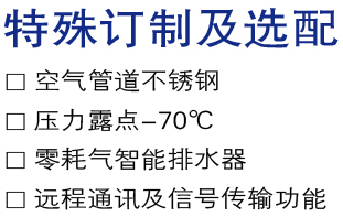 特殊訂制及選配.jpg